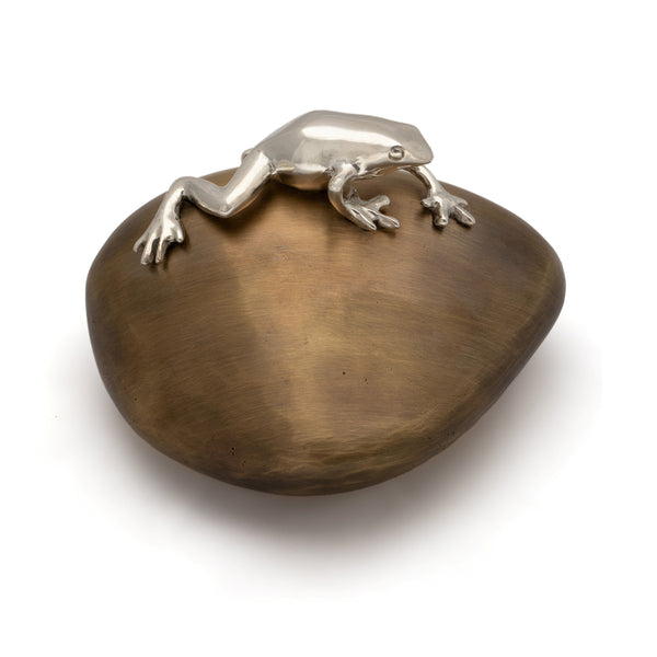 Silver Frog on Pebble